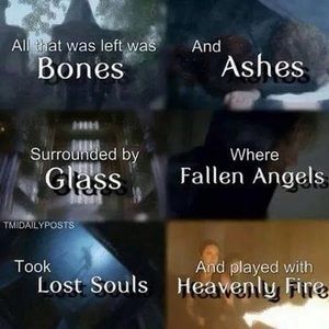 Meet your Posher, Trixie